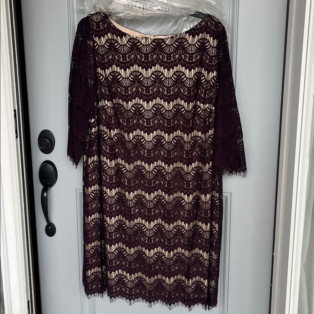Jessica Howard Eggplant and Nude Lined Lace Dress 20W